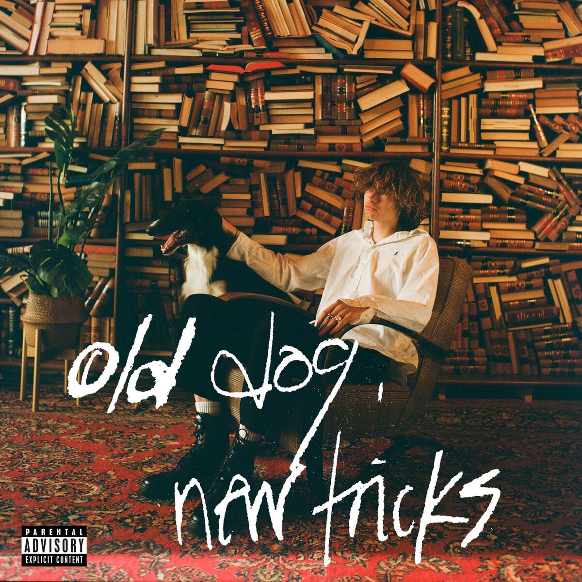 Album cover of 1984