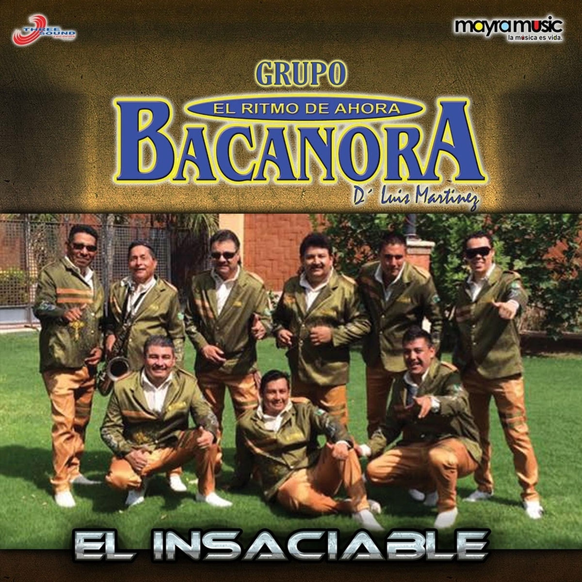 Album cover of El Insaciable