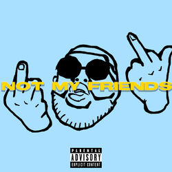 Cover of Not My Friends