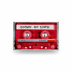 Cover of Get Stupid