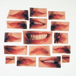Cover of Not a Baby