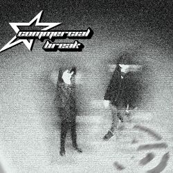 Cover of Commercial Break