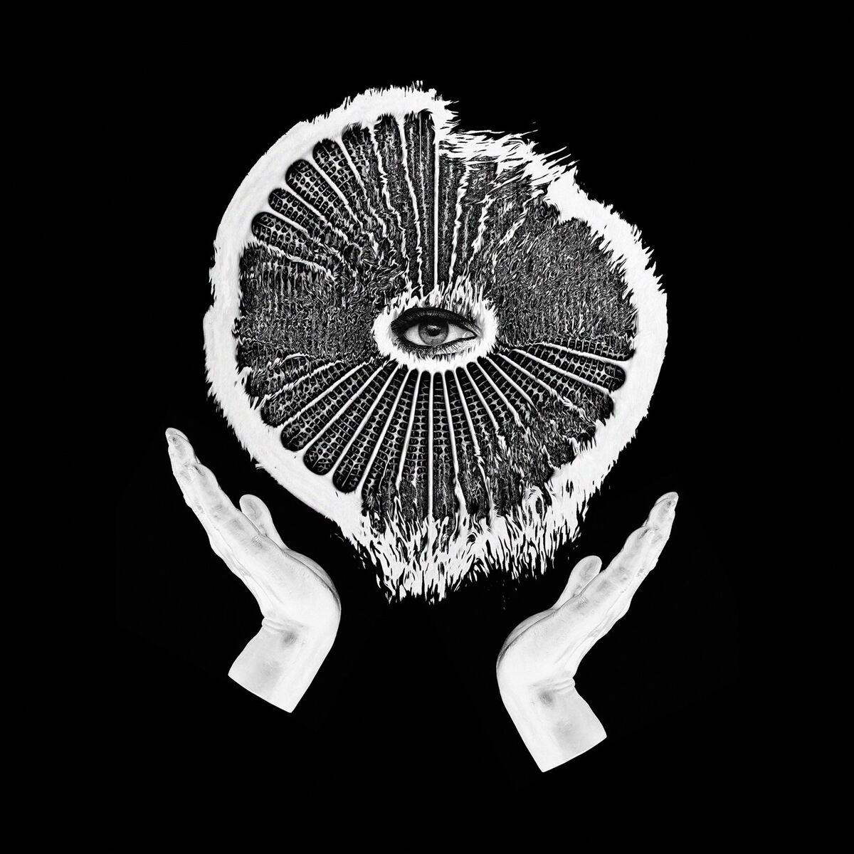 Album cover of Who Said