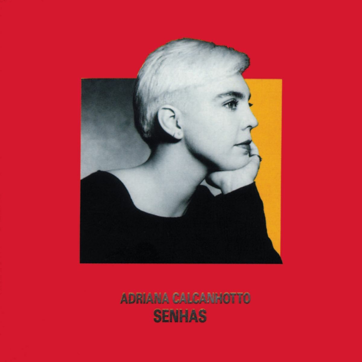 Album cover of Senhas