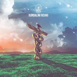 Cover of Kundalini Rising