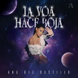 Cover of La Voa Hacé Boja