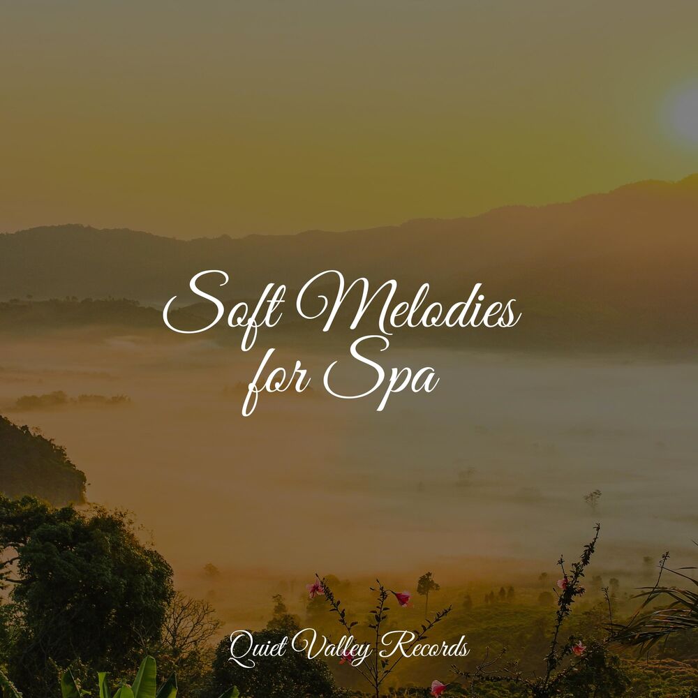 Picture of Soft Melodies for Spa