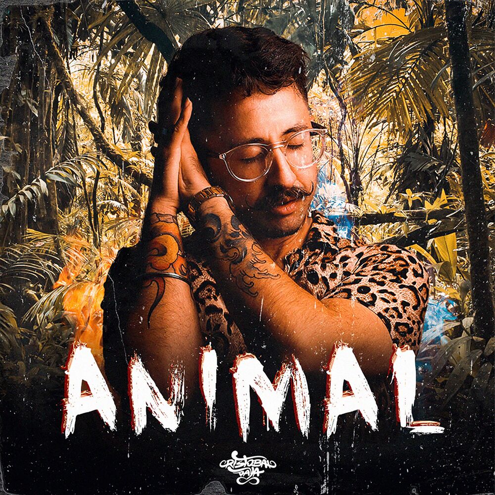 Picture of Animal