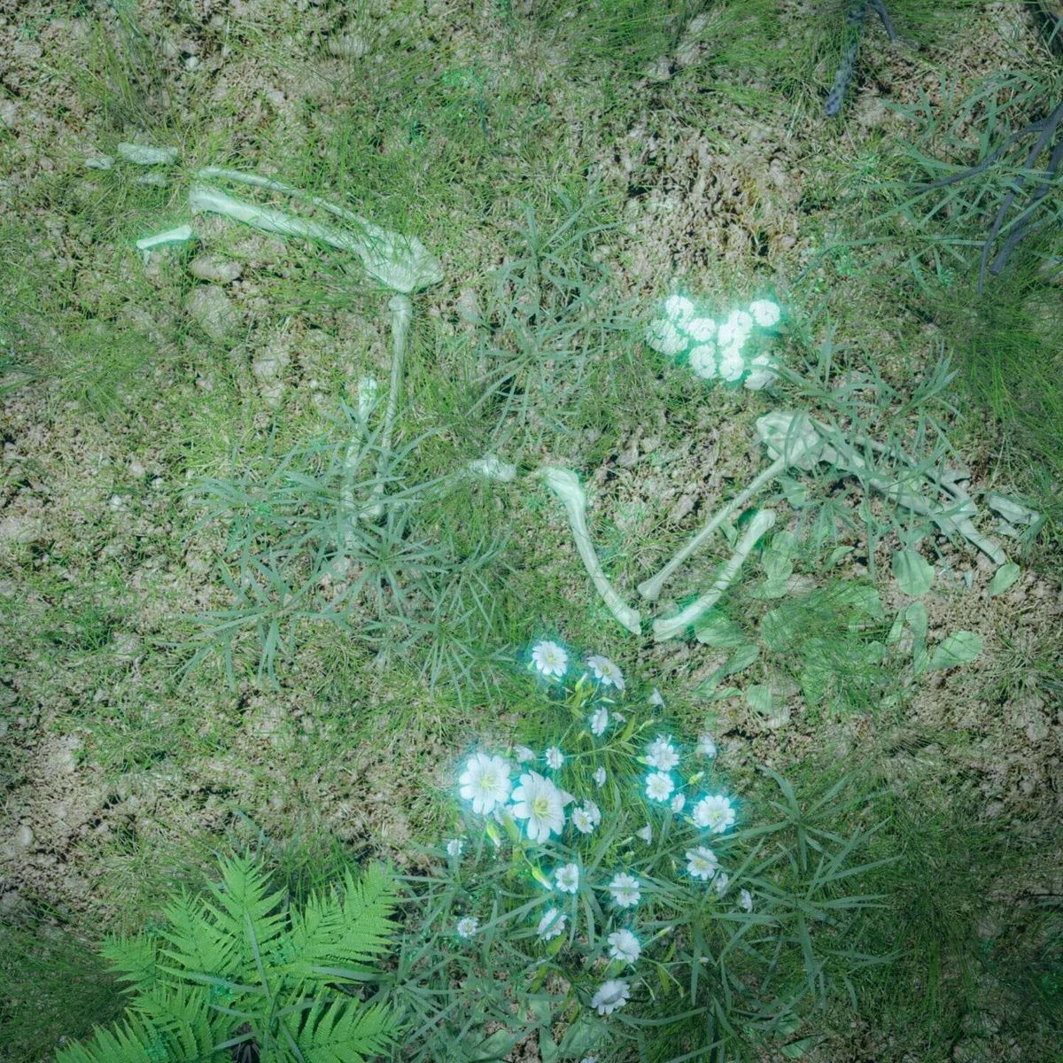 Album cover of Memories