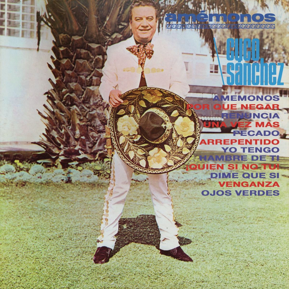 Album cover of Amémonos