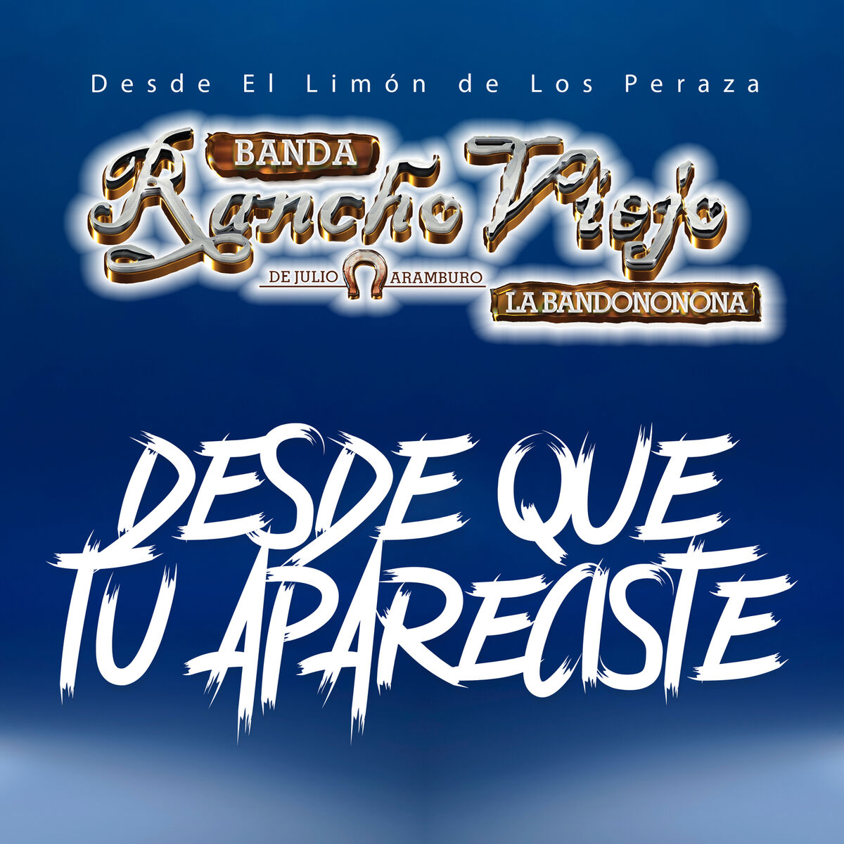 Album cover of Desde Que Tu Apareciste