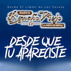 Cover of Desde Que Tu Apareciste