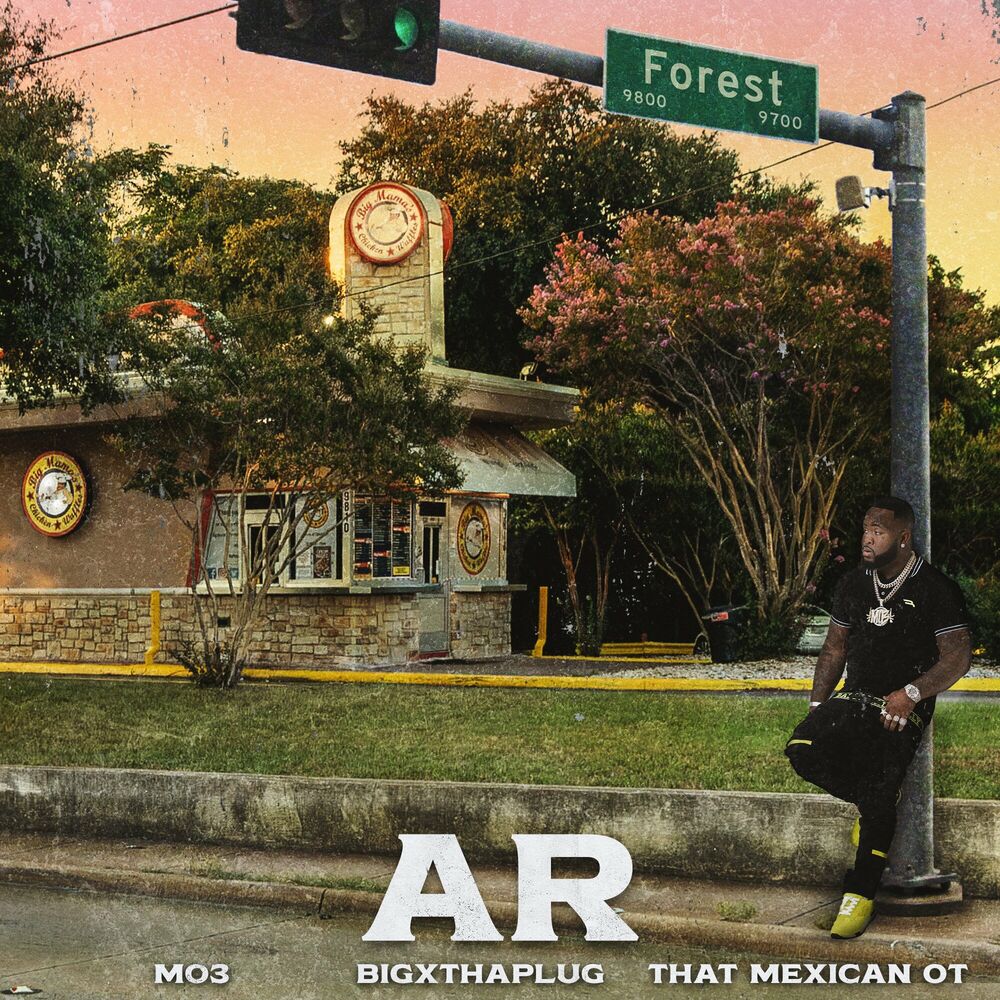 Picture of AR (feat. BigXthaPlug)