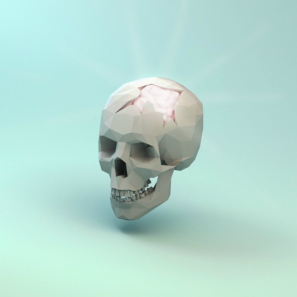 Picture of Braincase (Deluxe)