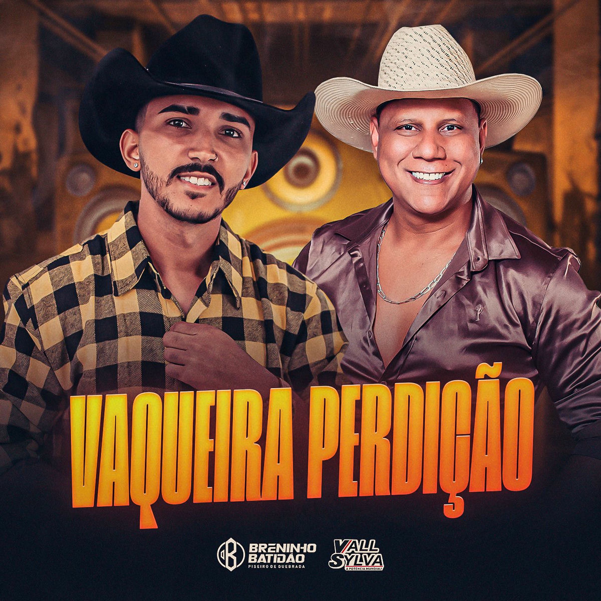 Album cover of Vaqueira Perdição