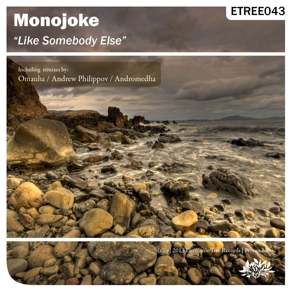 Picture of Like Somebody Else