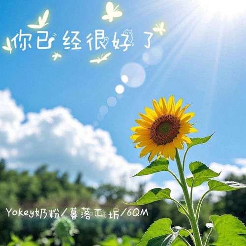 你已经很好了