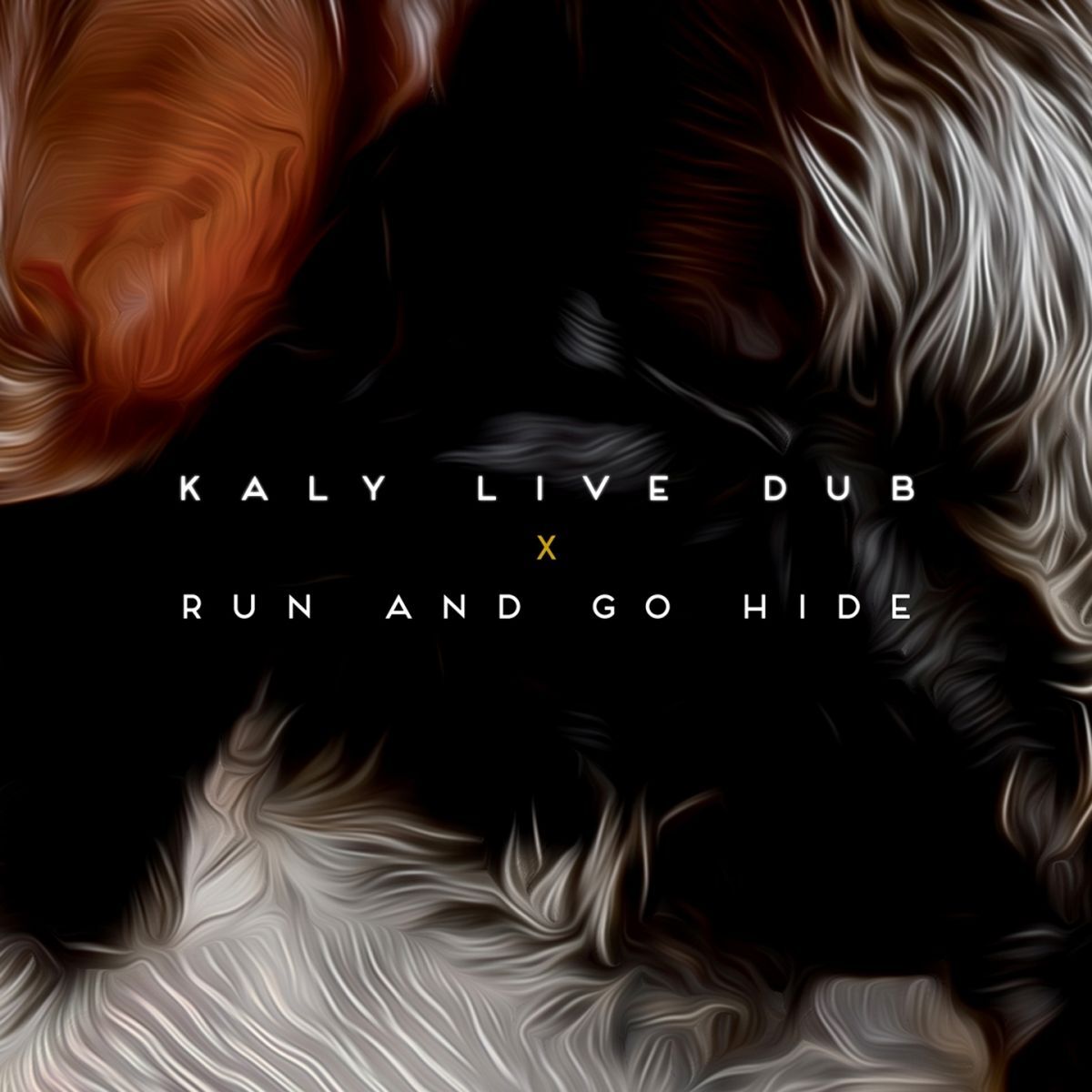 Album cover of Run and Go Hide