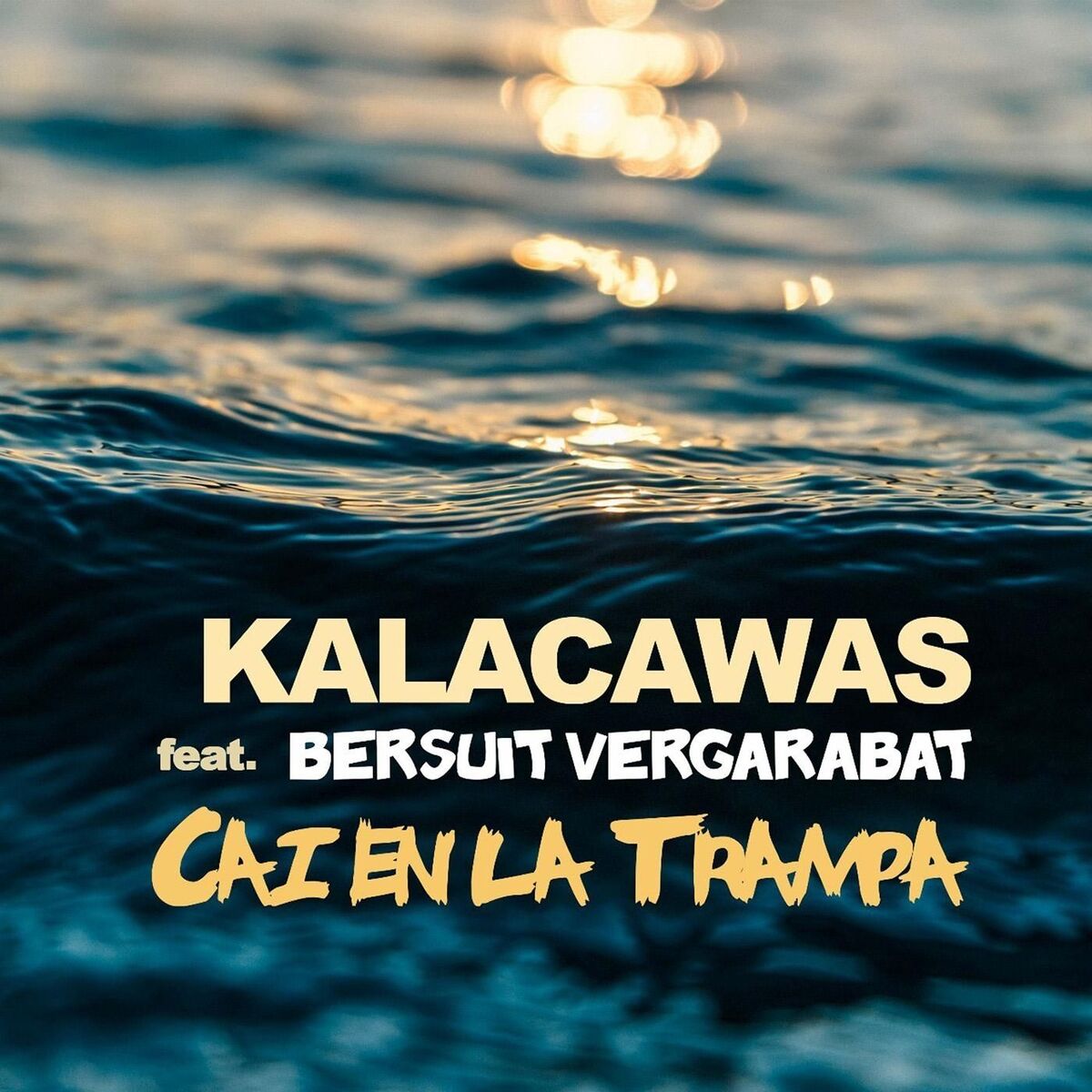 Album cover of Caí en la Trampa