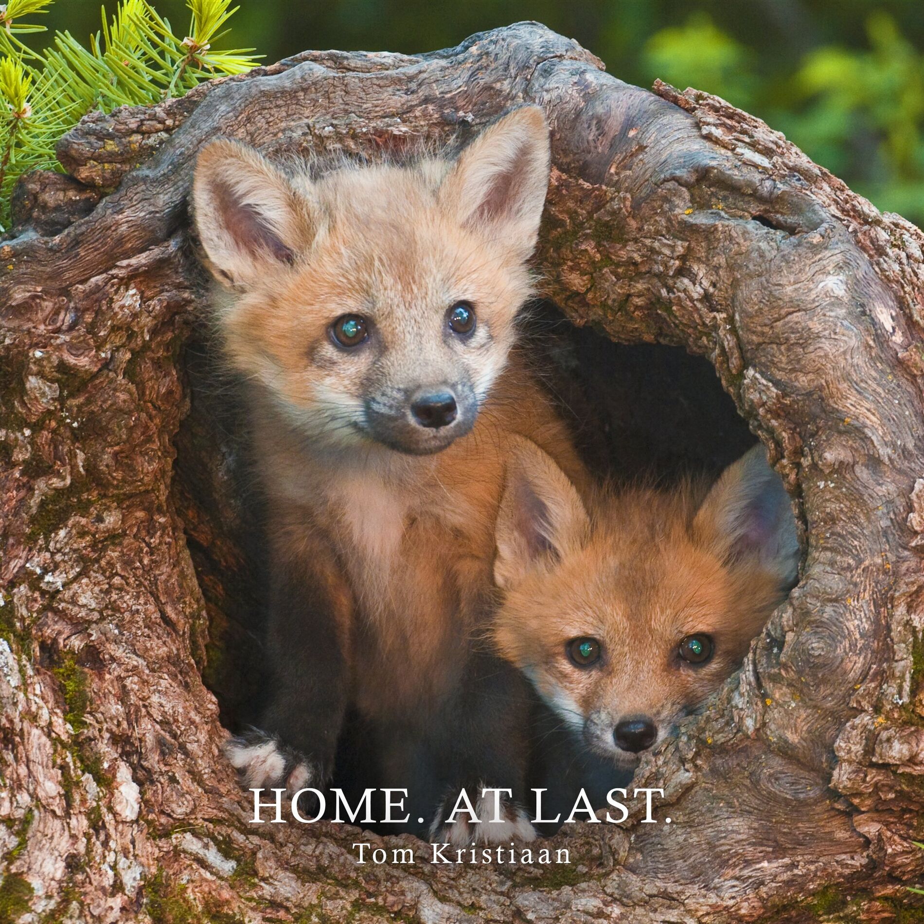 Album cover of Home. At last.