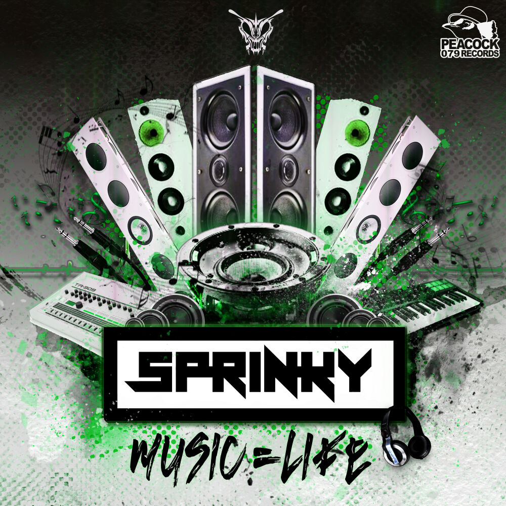 Picture of Music = Life