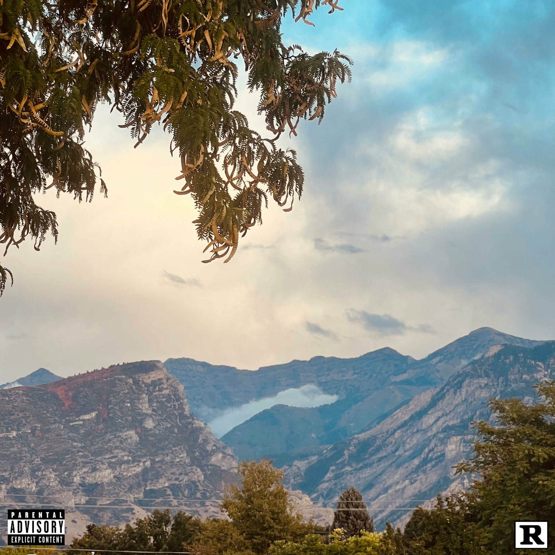 Album cover of Obsessed