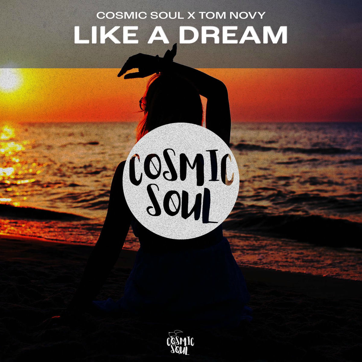 Album cover of Like A Dream