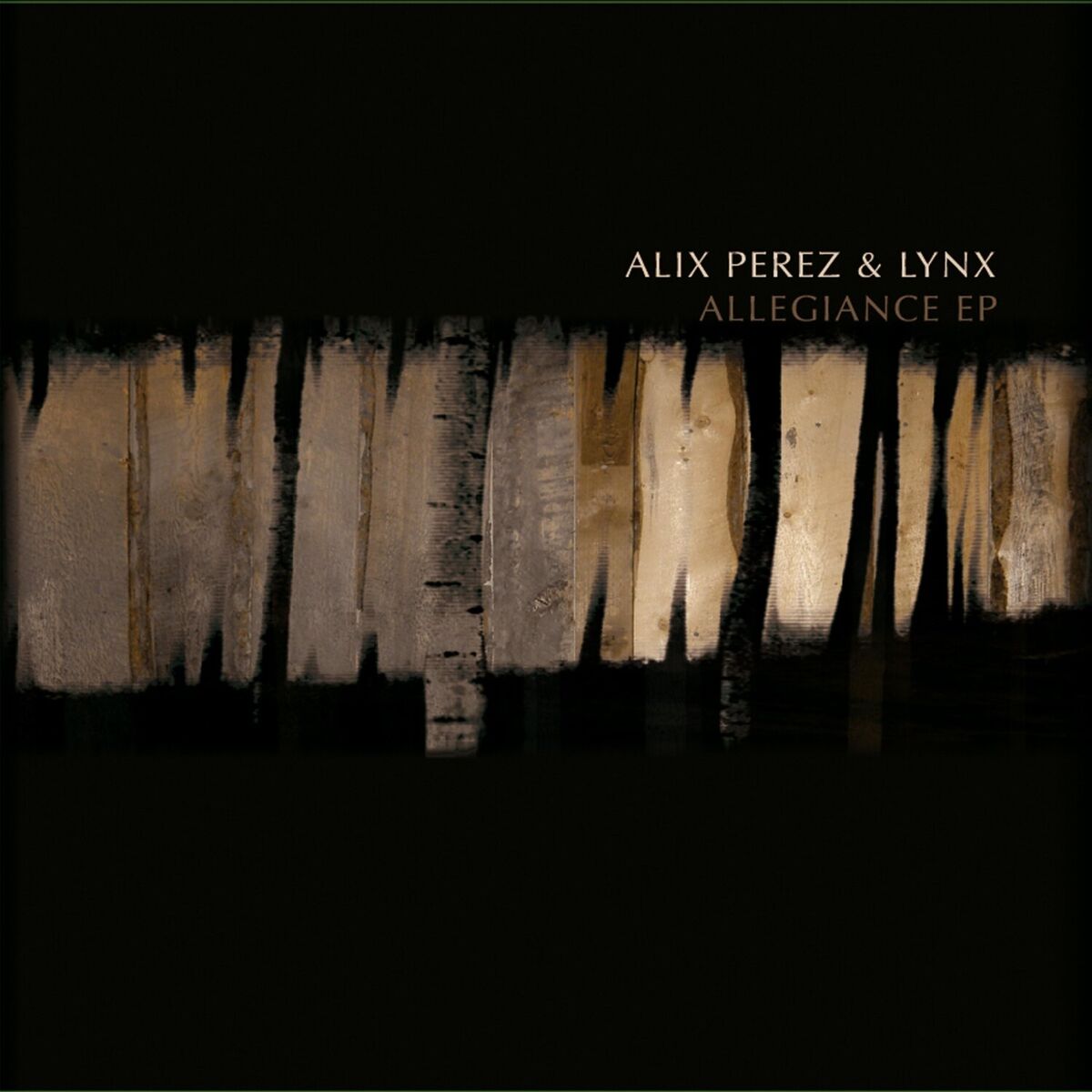 Album cover of Allegiance EP