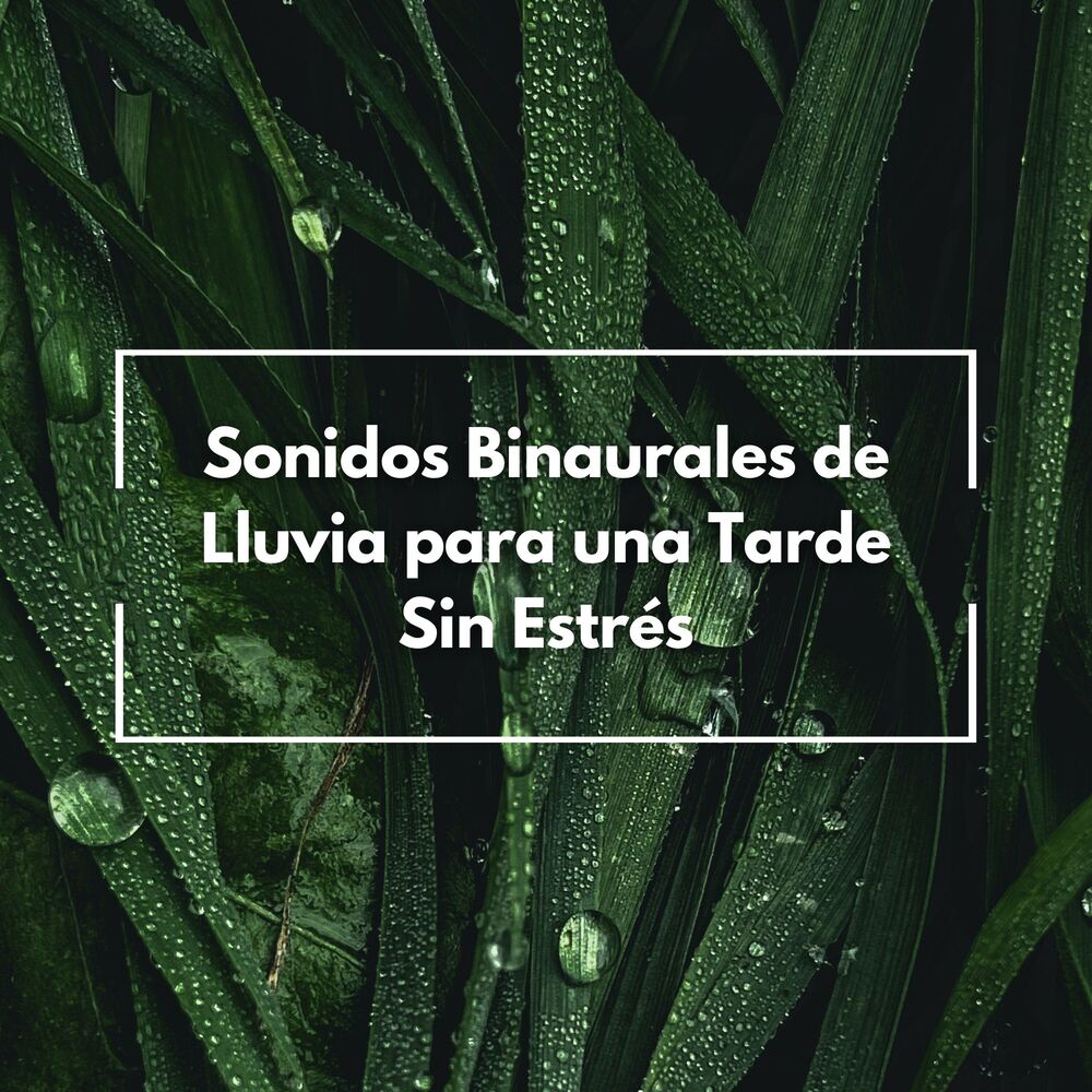 Picture of Sonidos Binaurales De Lluvia Para Una Tarde Sin Estrés