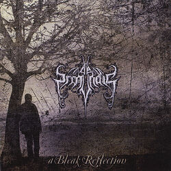Cover of A Bleak Reflection