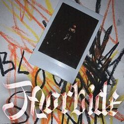 Cover of MORBIDE
