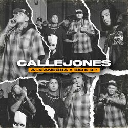 Cover of Callejones