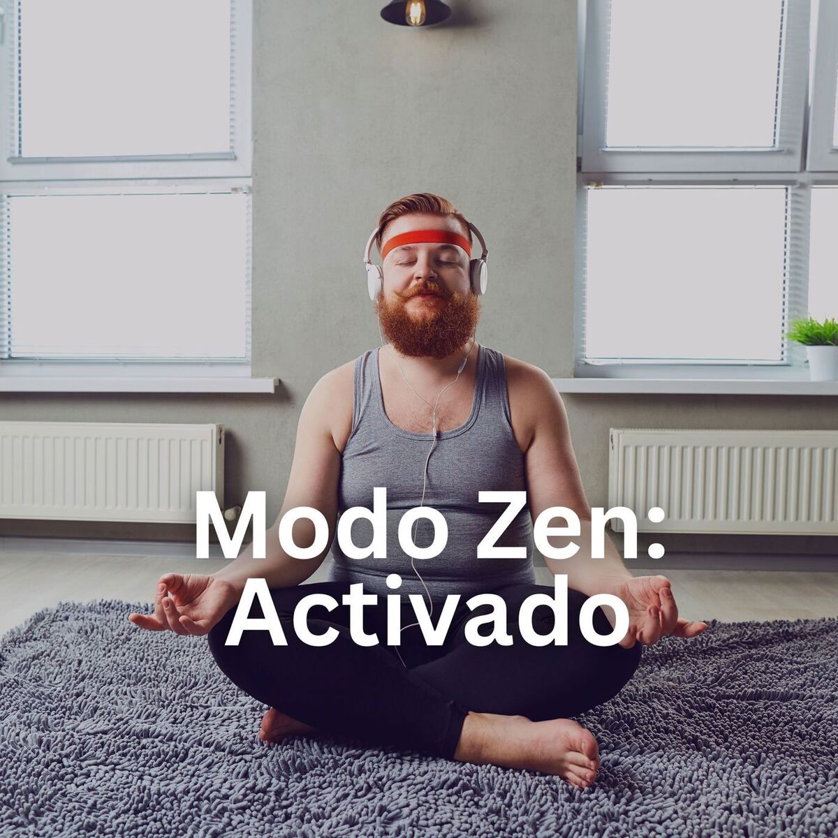 Album cover of Modo Zen: Activado