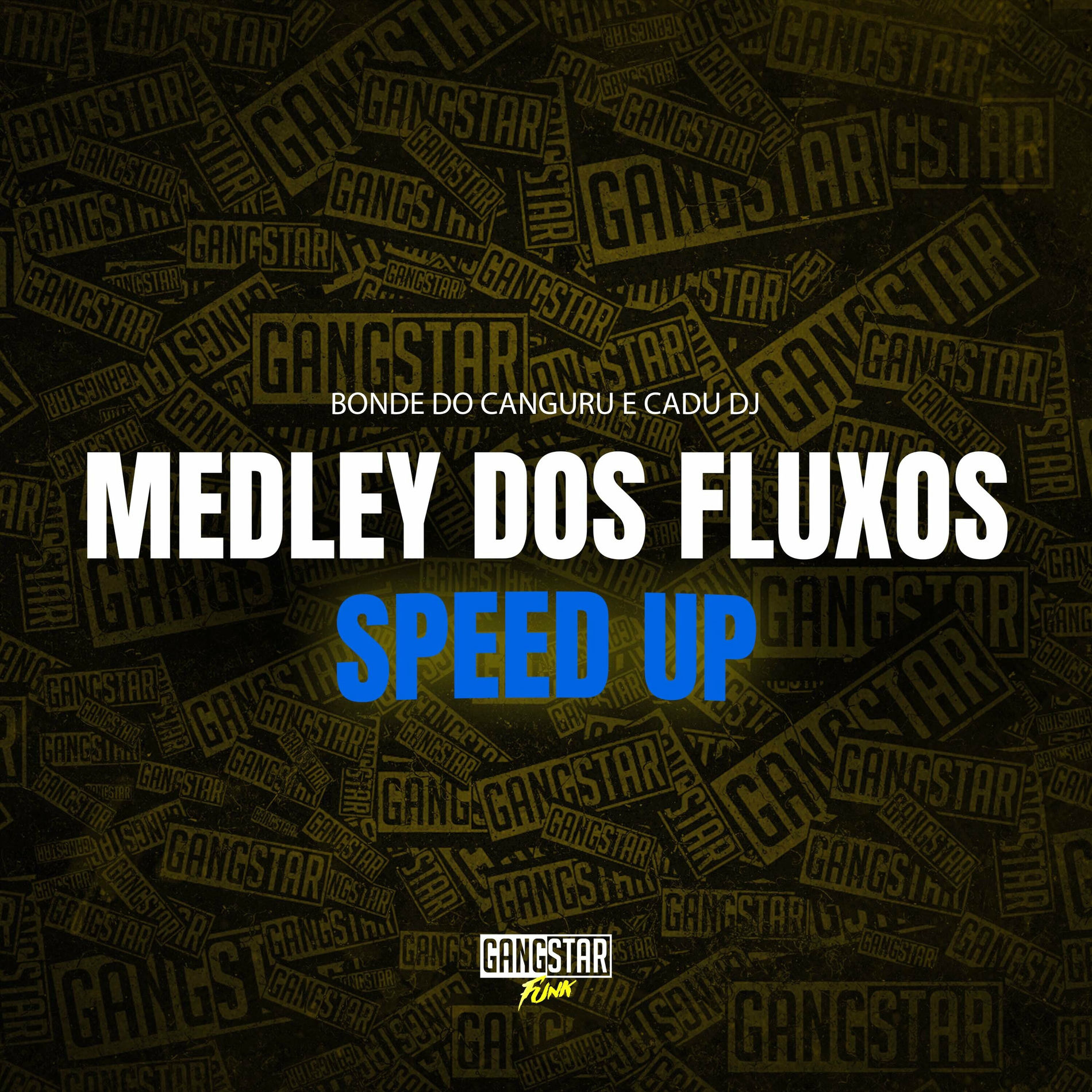 Album cover of Medley dos Fluxos - Speed Up