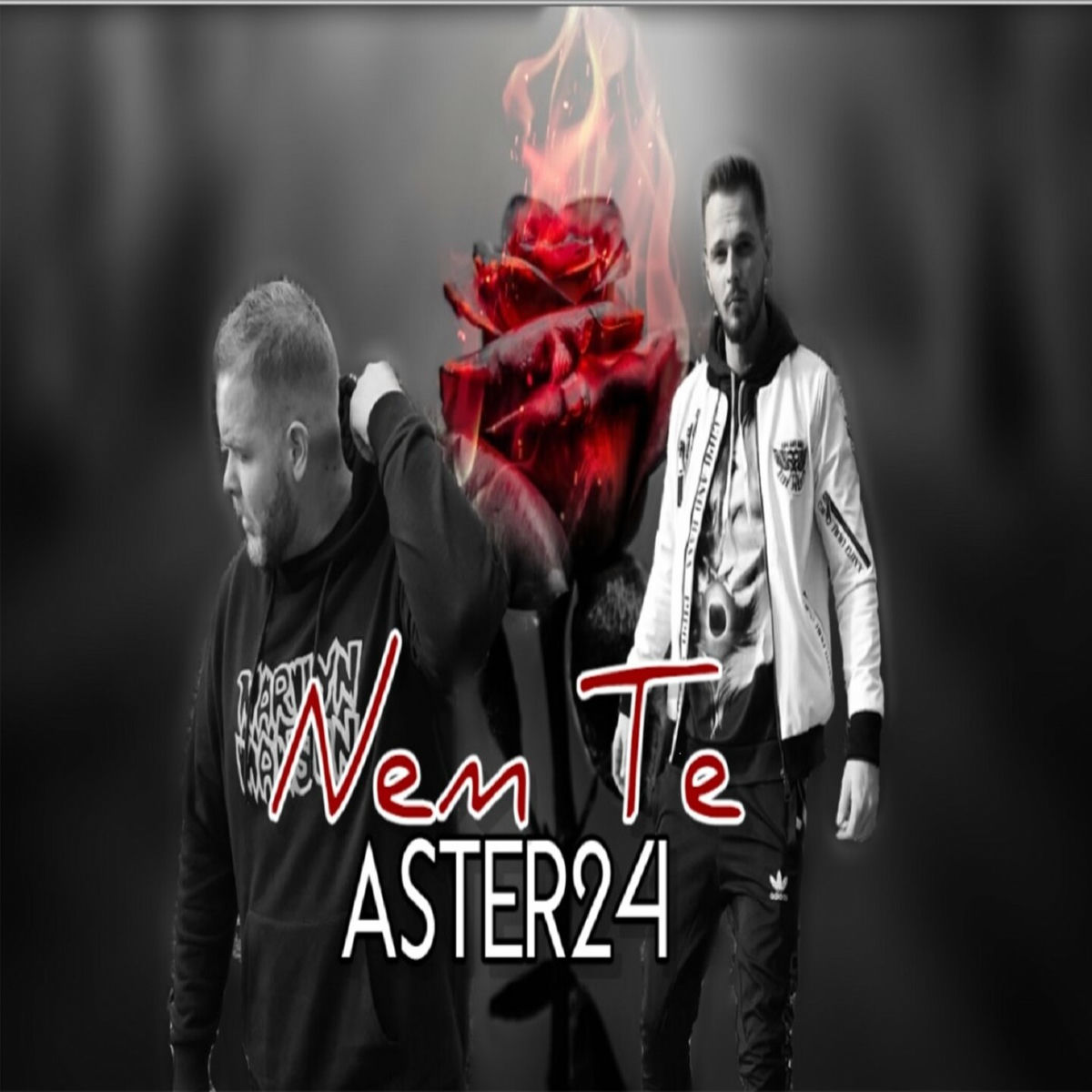 Album cover of Nem Te