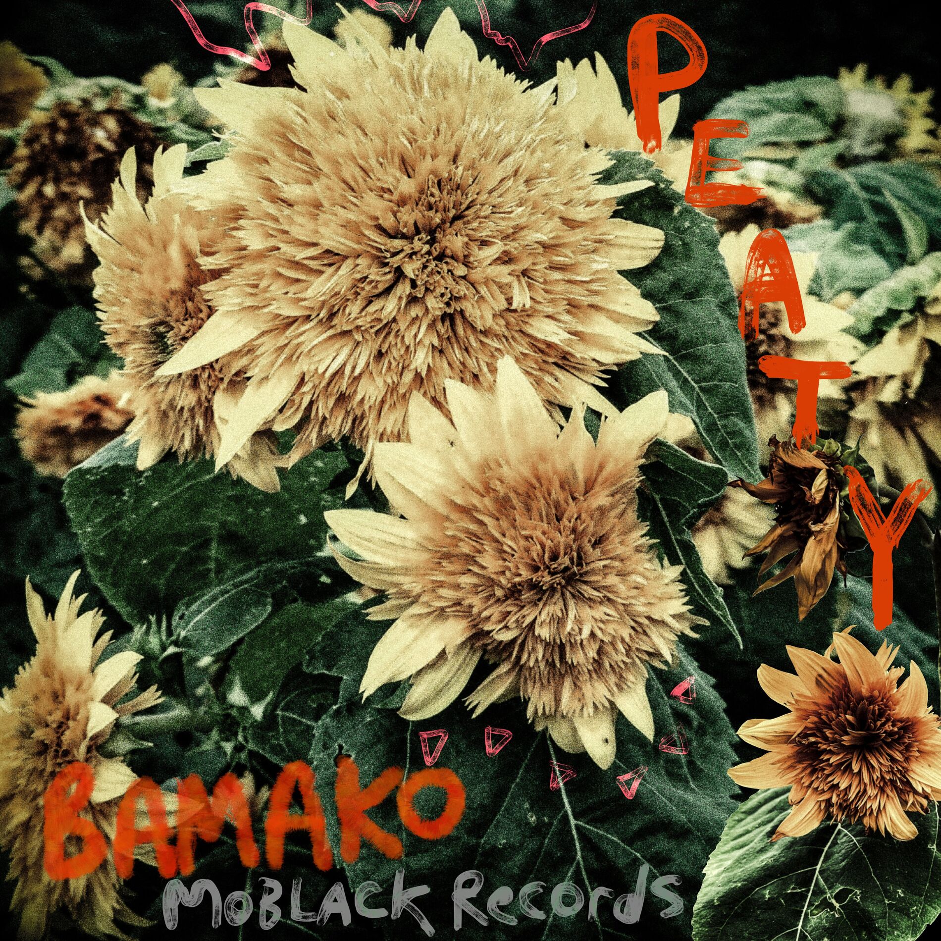 Album cover of Bamako
