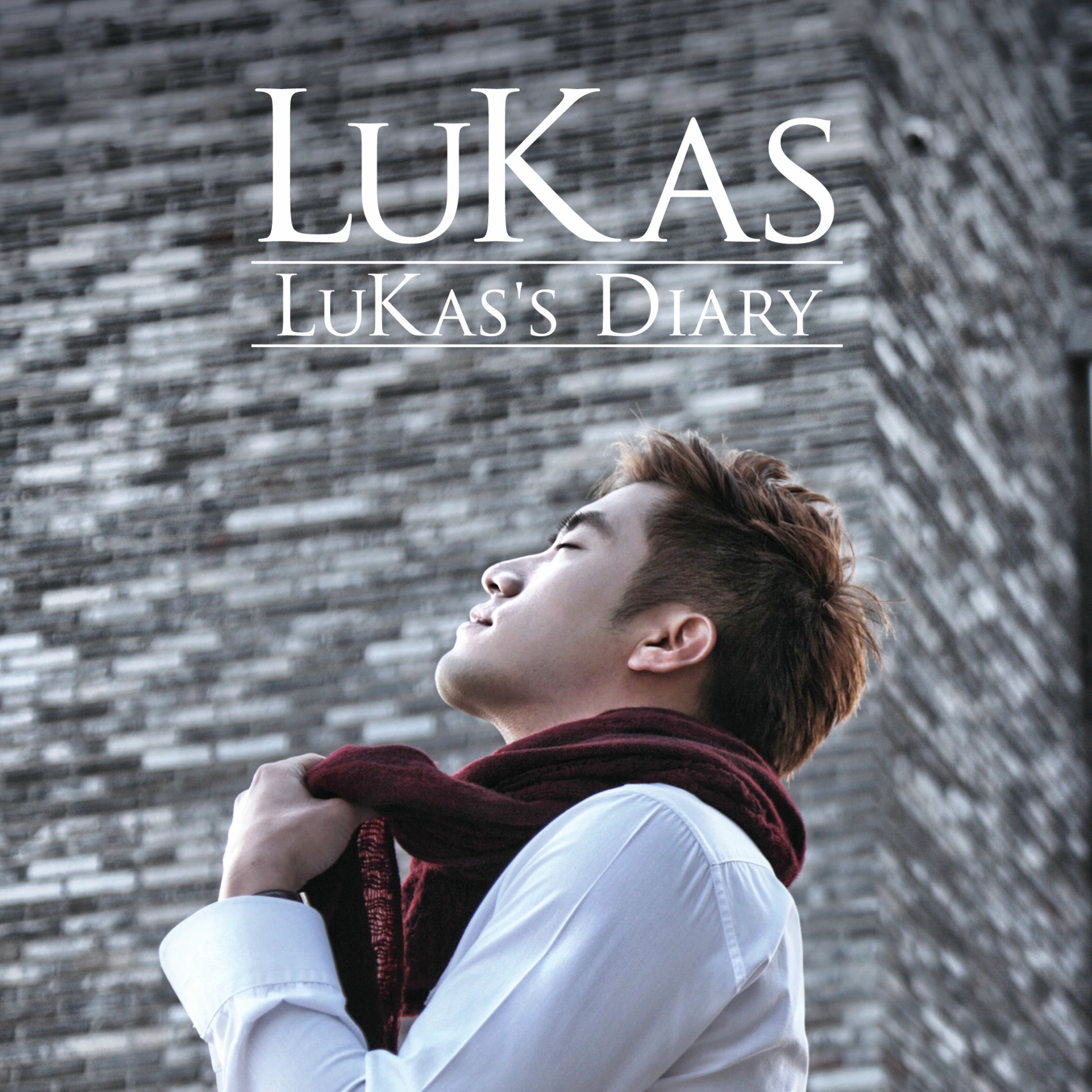 Album cover of LuKas's Diary