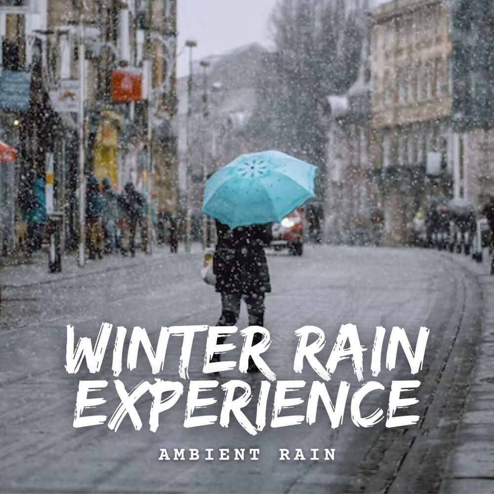 Picture of Ambient Rain: Winter Rain Experience