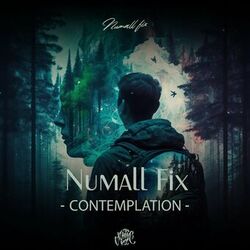 Cover of Contemplation