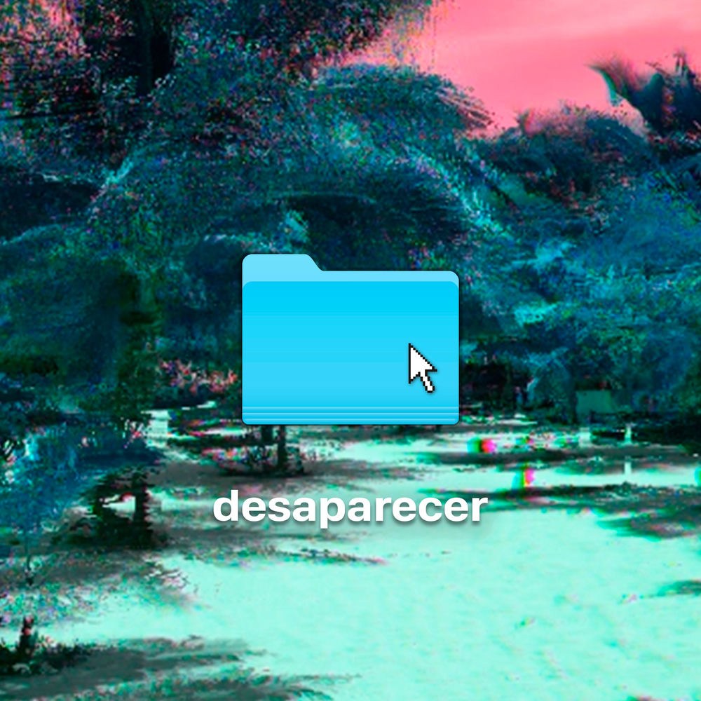 Desaparecer cover