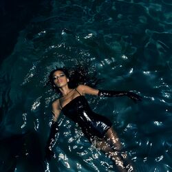 Cover of OCEANS