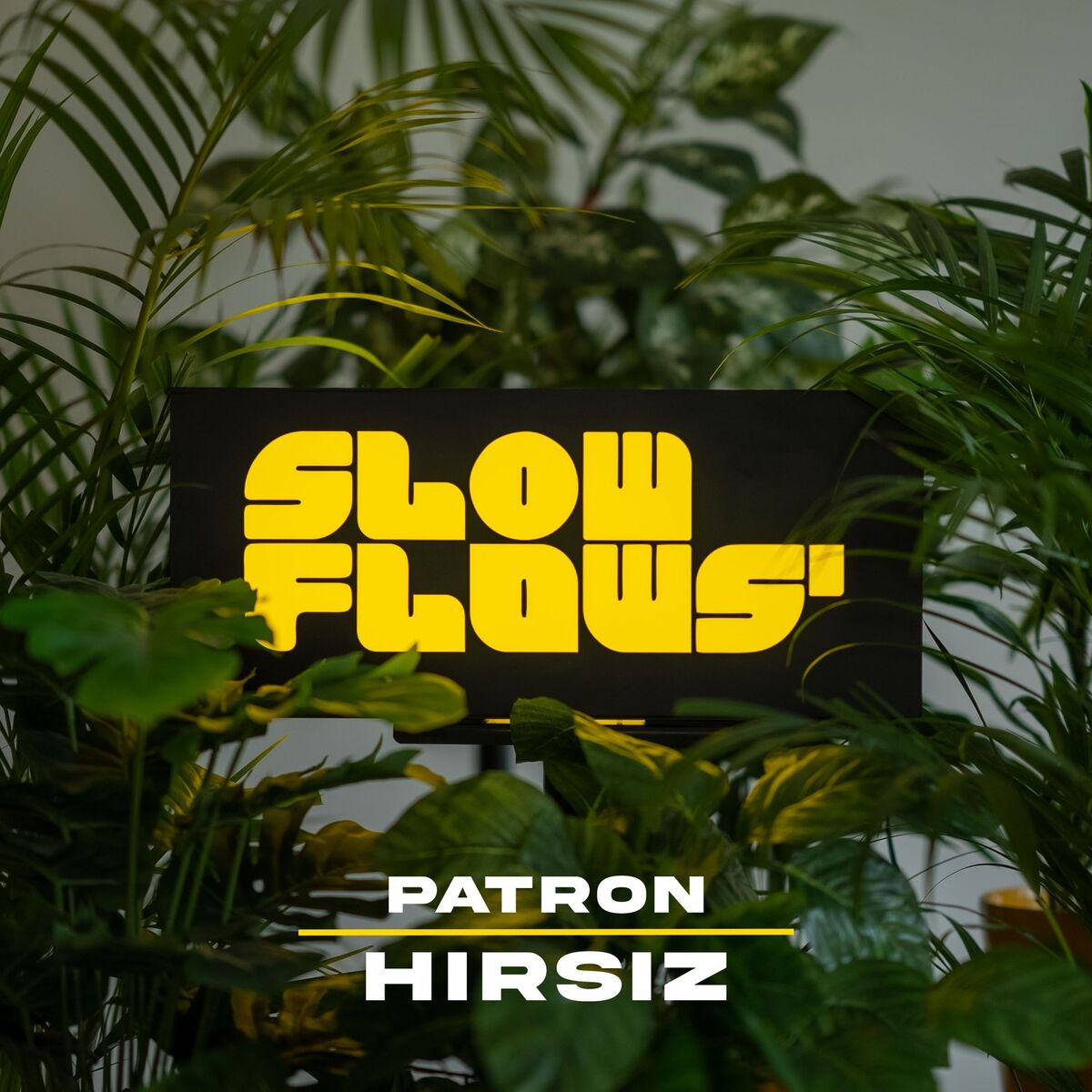 Album cover of Hırsız