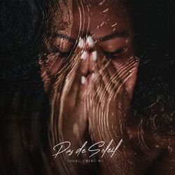 Cover of Pas de soleil