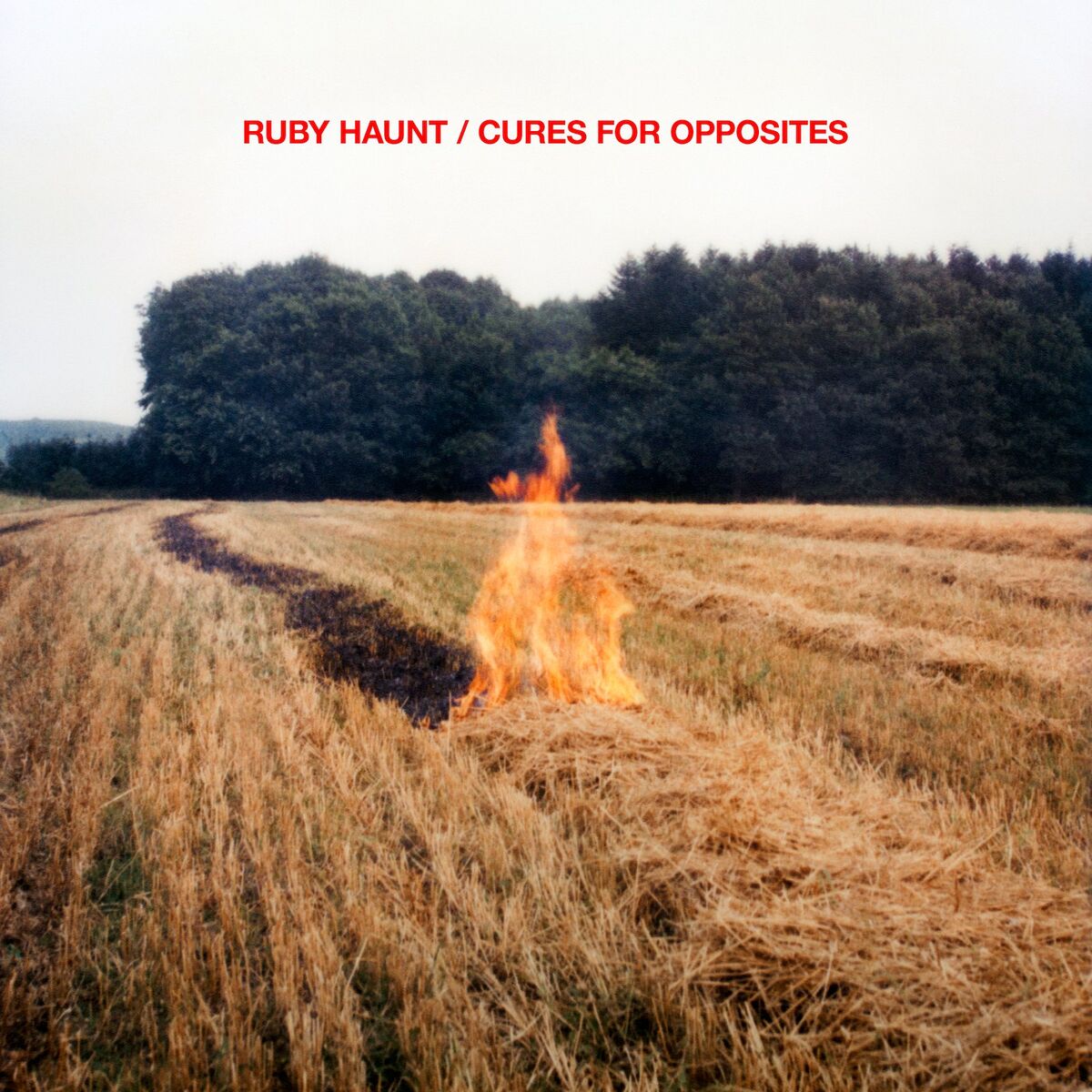 Album cover of Still Life