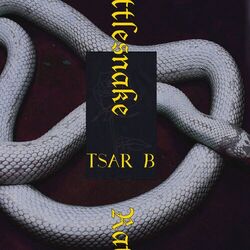 Cover of Rattlesnake