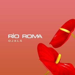Cover of Ojalá