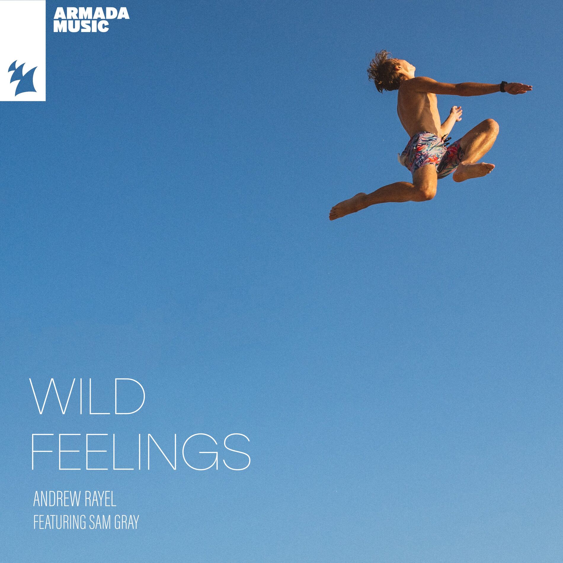 Album cover of Wild Feelings