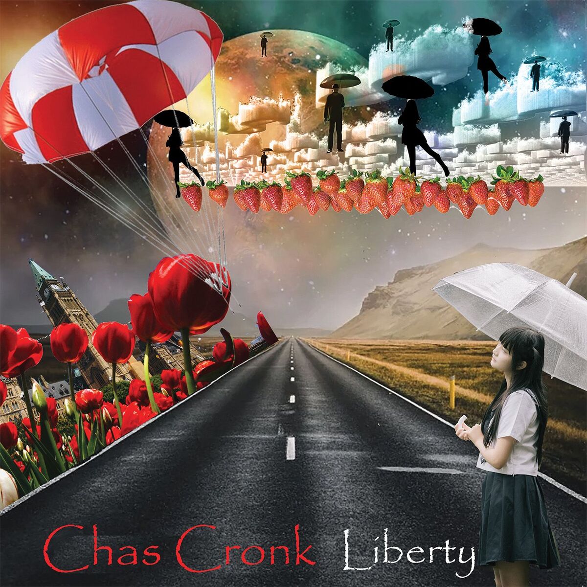 Album cover of Liberty