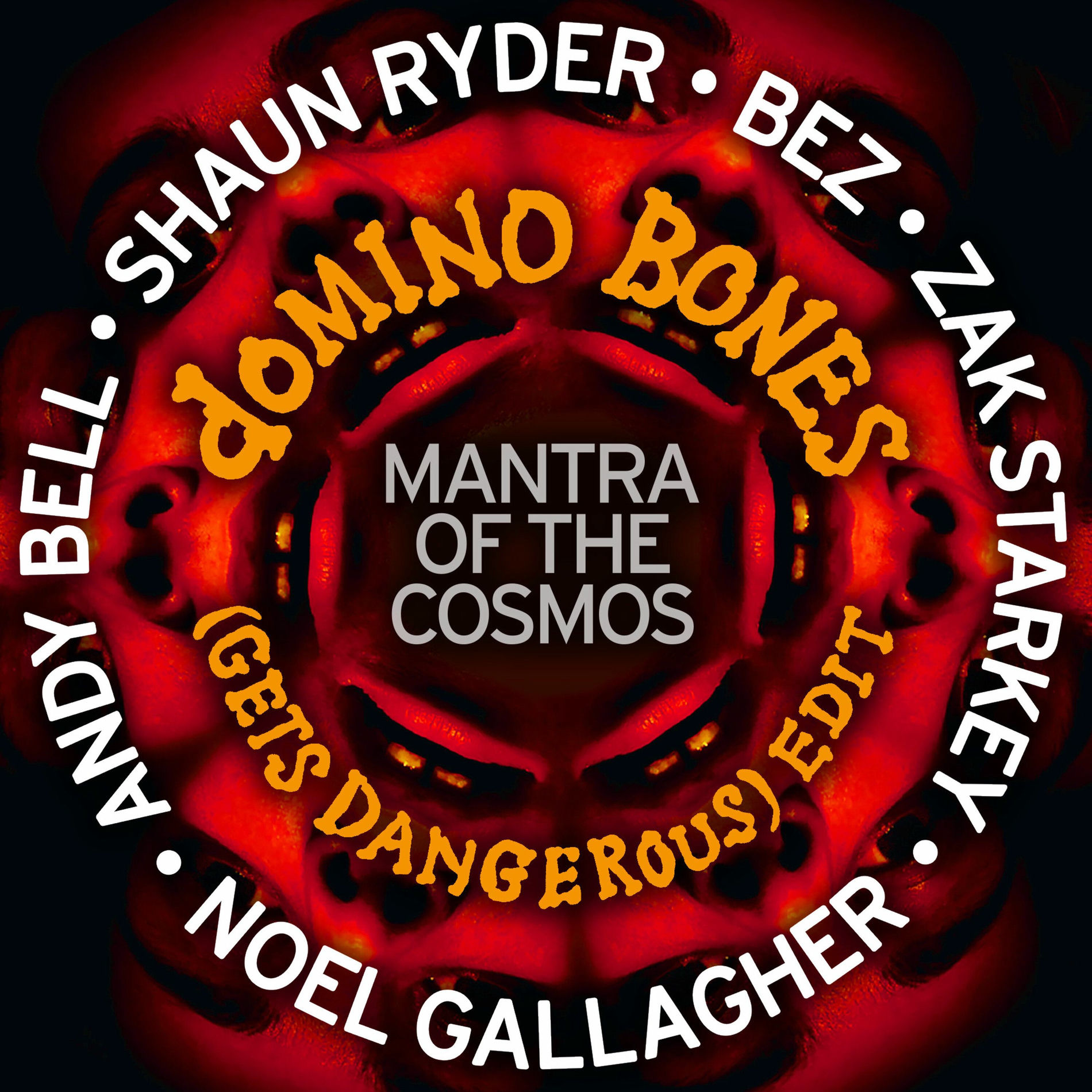 Album cover of Domino Bones (Gets Dangerous)