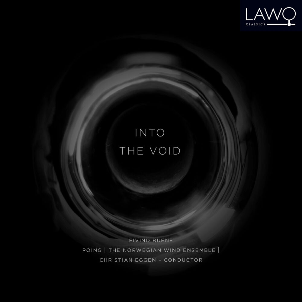 Picture of Into the Void